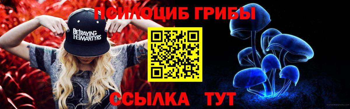 Елабуга  Псилоцибиновые грибы Cubensis  Галлюциногенные грибы MAGIC MUSHROOMS  Вход с VPN 